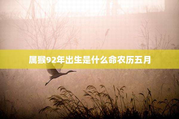 属猴92年出生是什么命农历五月