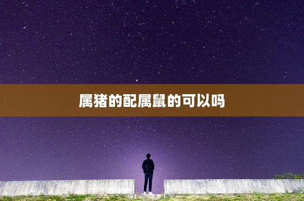 属猪的配属鼠的可以吗