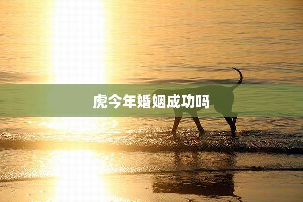 虎今年婚姻成功吗