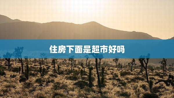 住房下面是超市好吗