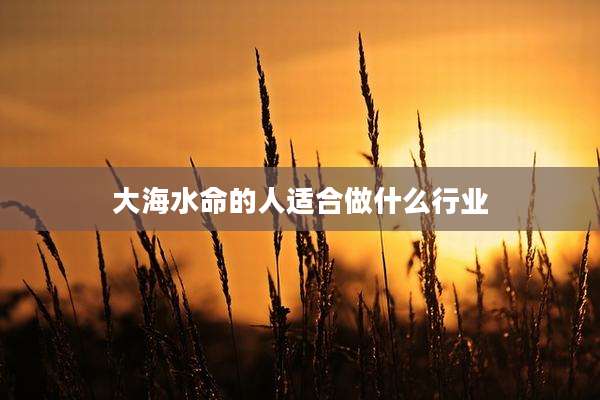 大海水命的人适合做什么行业
