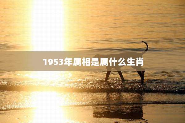 1953年属相是属什么生肖