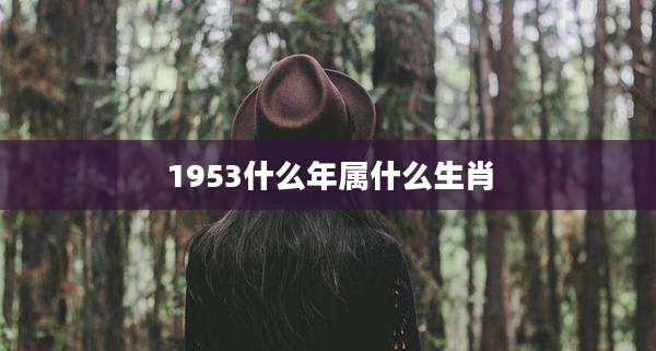 1953什么年属什么生肖