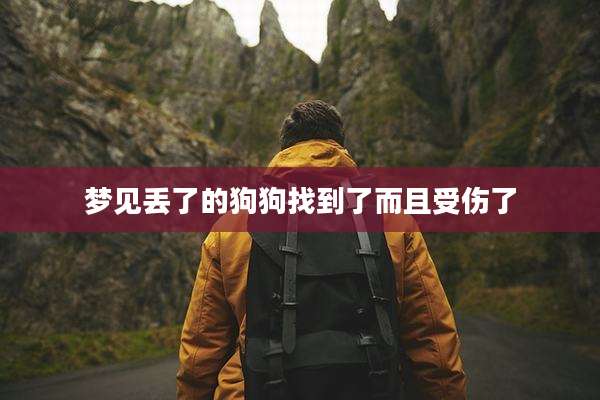 梦见丢了的狗狗找到了而且受伤了