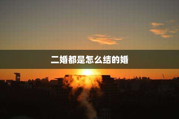 二婚都是怎么结的婚