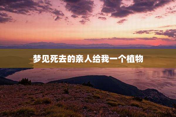 梦见死去的亲人给我一个植物