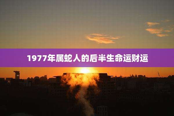 1977年属蛇人的后半生命运财运