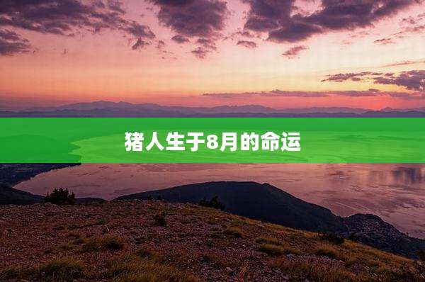 猪人生于8月的命运