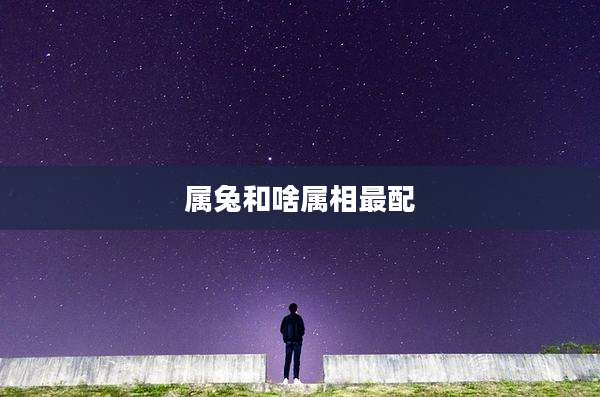 属兔和啥属相最配