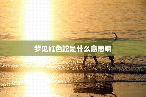 梦见红色蛇是什么意思啊