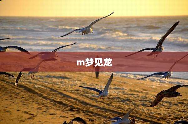 m梦见龙