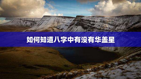 如何知道八字中有没有华盖星
