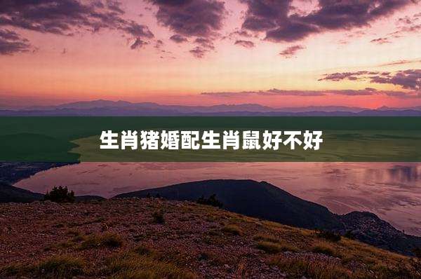 生肖猪婚配生肖鼠好不好