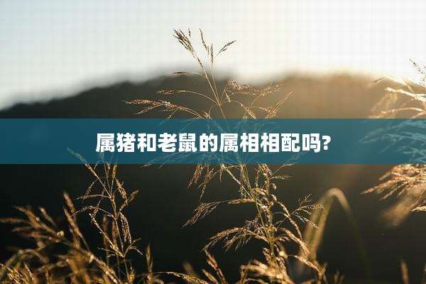 属猪和老鼠的属相相配吗?