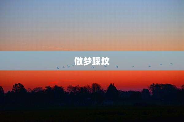 做梦踩坟