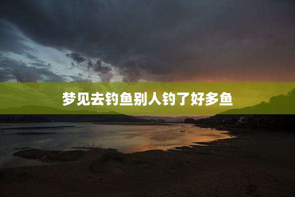梦见去钓鱼别人钓了好多鱼