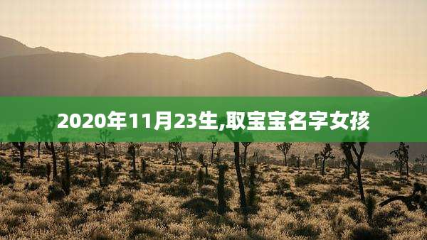 2020年11月23生,取宝宝名字女孩