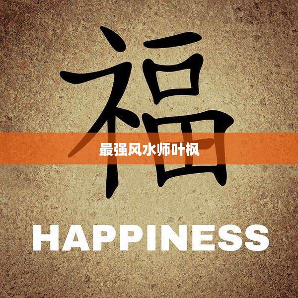 最强风水师叶枫