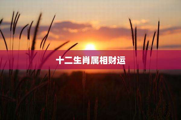 十二生肖属相财运