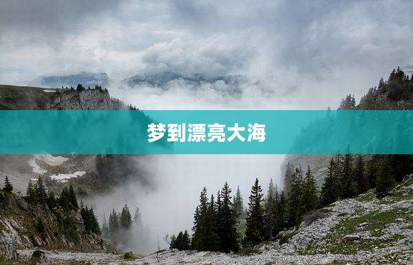 梦到漂亮大海