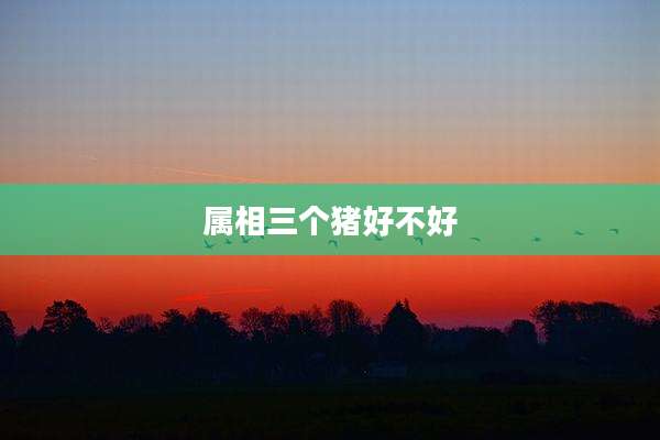 属相三个猪好不好