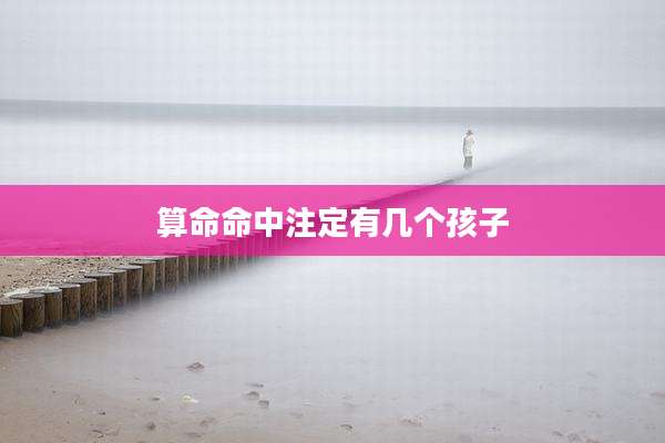 算命命中注定有几个孩子