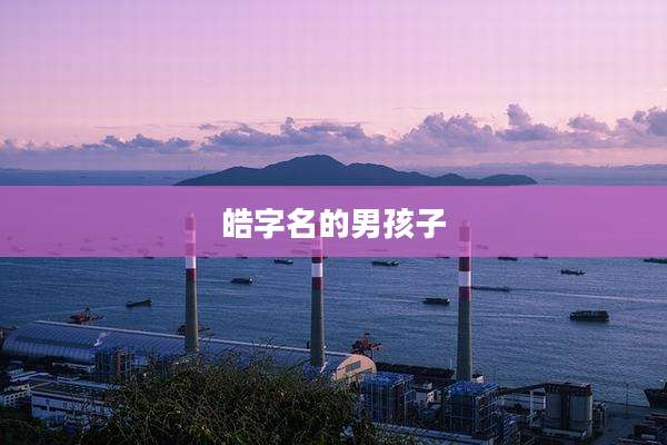 皓字名的男孩子