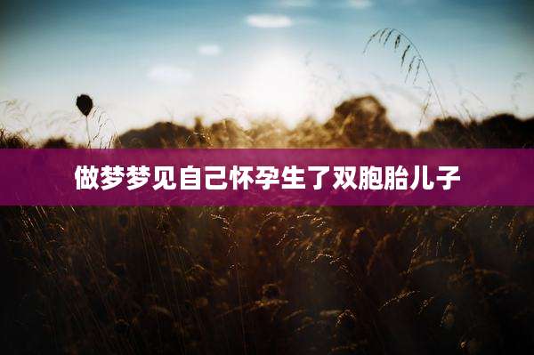 做梦梦见自己怀孕生了双胞胎儿子