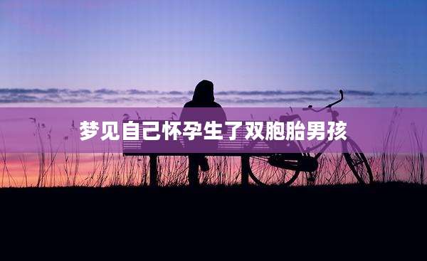 梦见自己怀孕生了双胞胎男孩