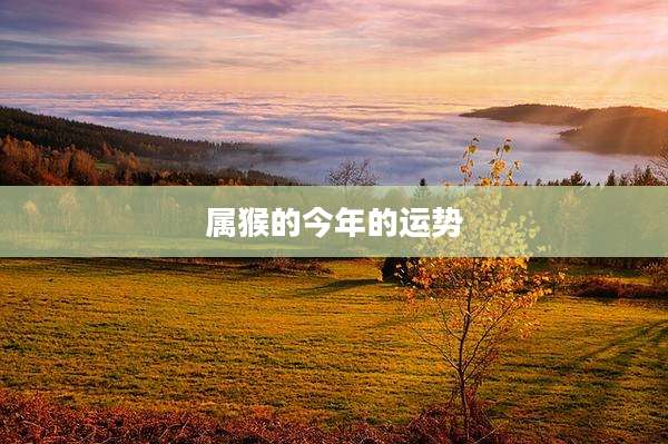 属猴的今年的运势