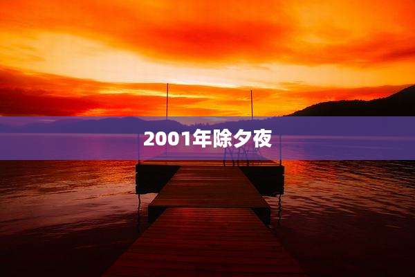 2001年除夕夜