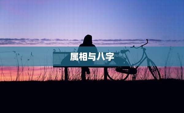 属相与八字