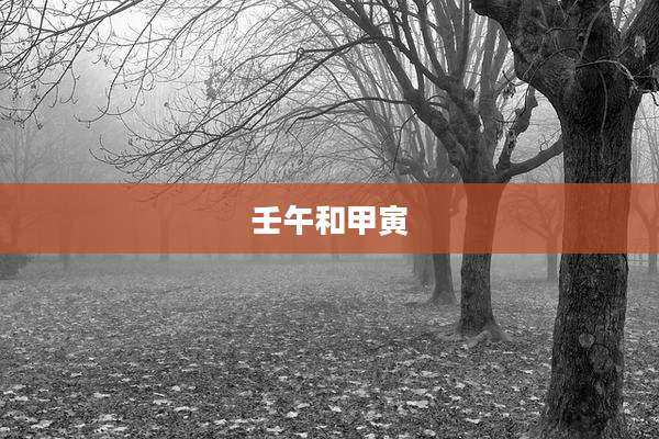 壬午和甲寅