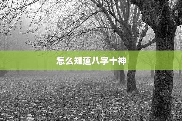 怎么知道八字十神