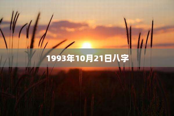1993年10月21日八字