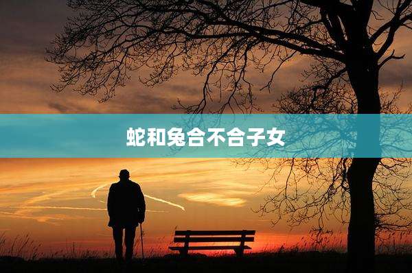 蛇和兔合不合子女