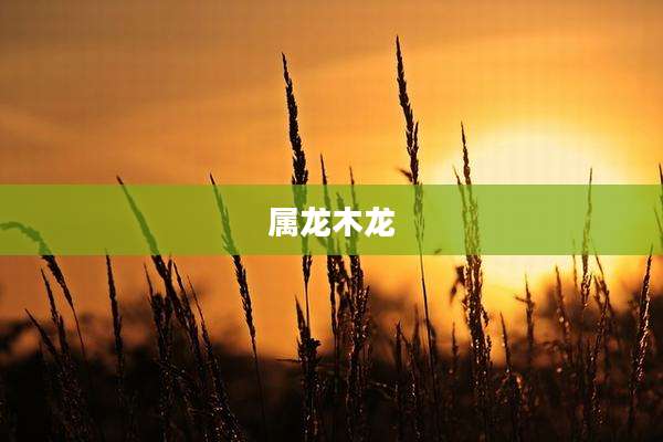 属龙木龙