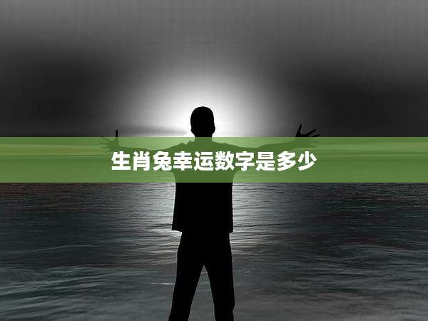 生肖兔幸运数字是多少