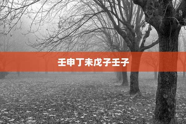 壬申丁未戊子壬子
