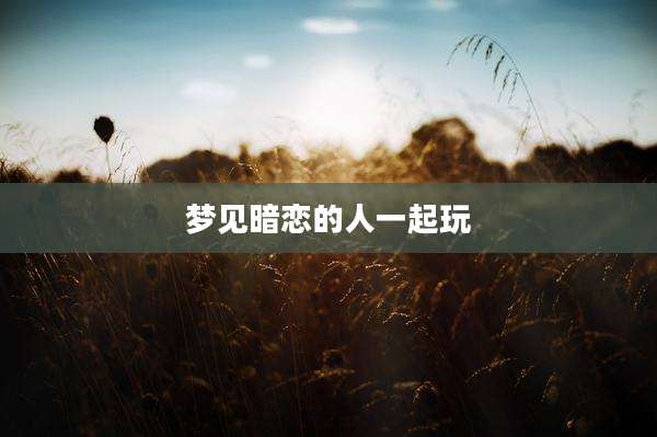 梦见暗恋的人一起玩