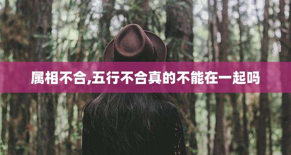 属相不合,五行不合真的不能在一起吗