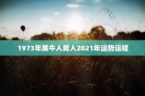1973年属牛人男人2021年运势运程