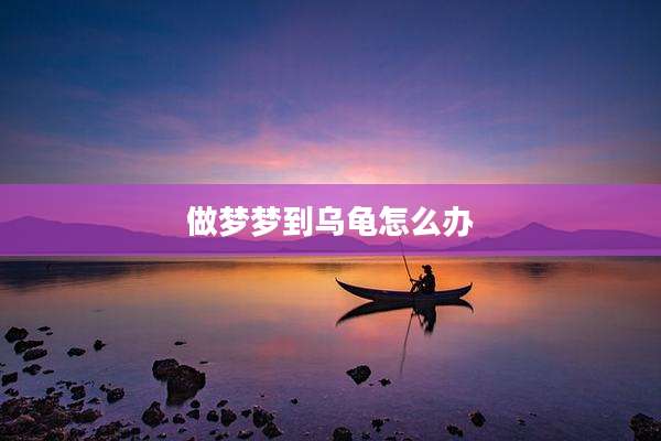 做梦梦到乌龟怎么办