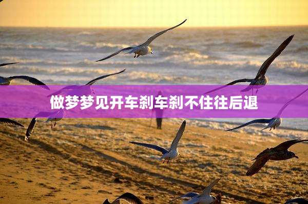 做梦梦见开车刹车刹不住往后退