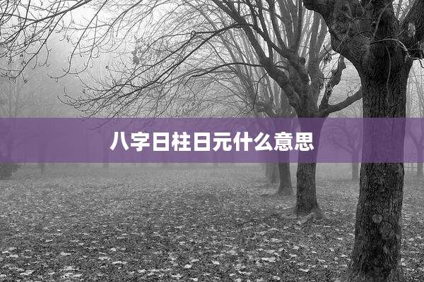 八字日柱日元什么意思