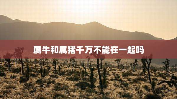 属牛和属猪千万不能在一起吗