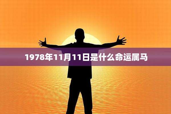 1978年11月11日是什么命运属马