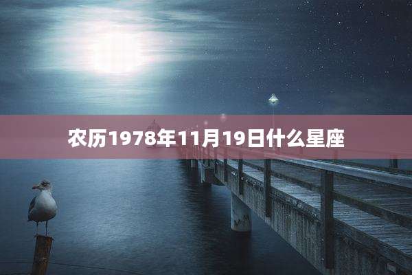 农历1978年11月19日什么星座