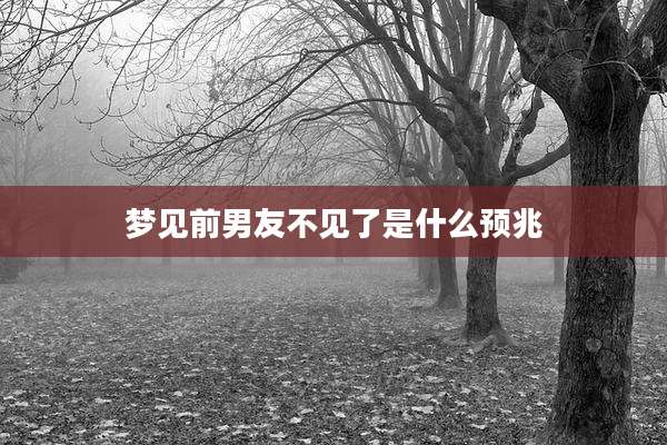 梦见前男友不见了是什么预兆
