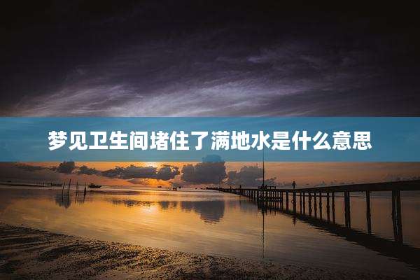 梦见卫生间堵住了满地水是什么意思